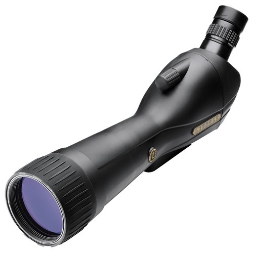 Leupold SX-1 Ventana 2 20-60x80mm Angled Gray/Blk