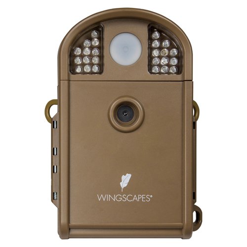 Wildlife Camera